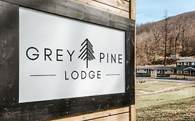 Grey Pine Lodge
